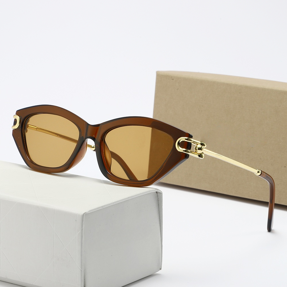 T588-1172 New sunglasses with personalized trend